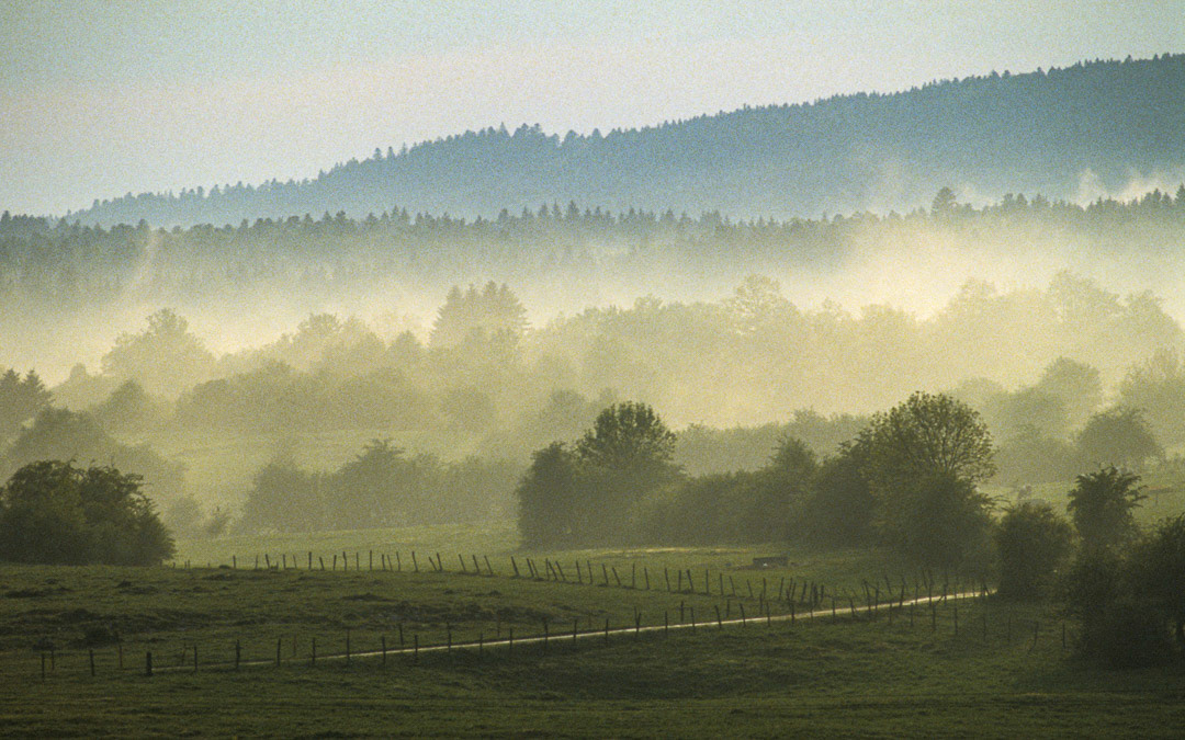 Jura, France, © MyPhototek