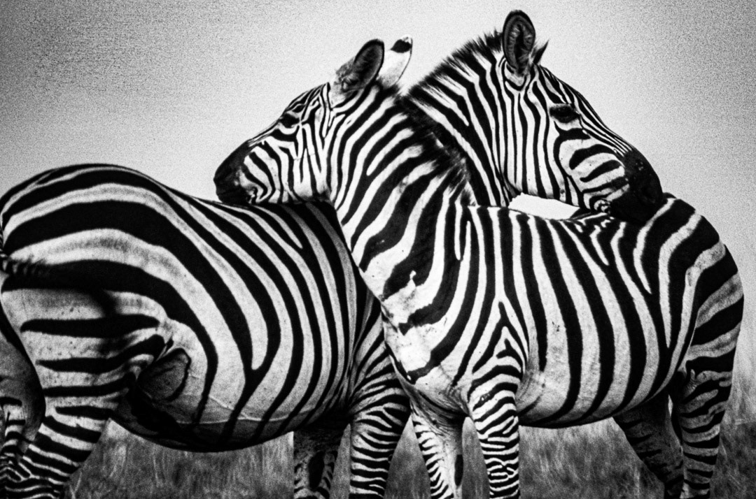 Kenya, © MyPhototek