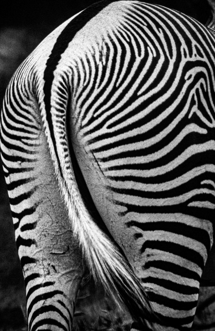 Kenya, © MyPhototek