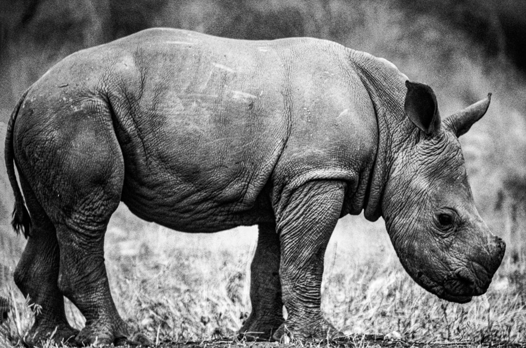 Kenya, © MyPhototek