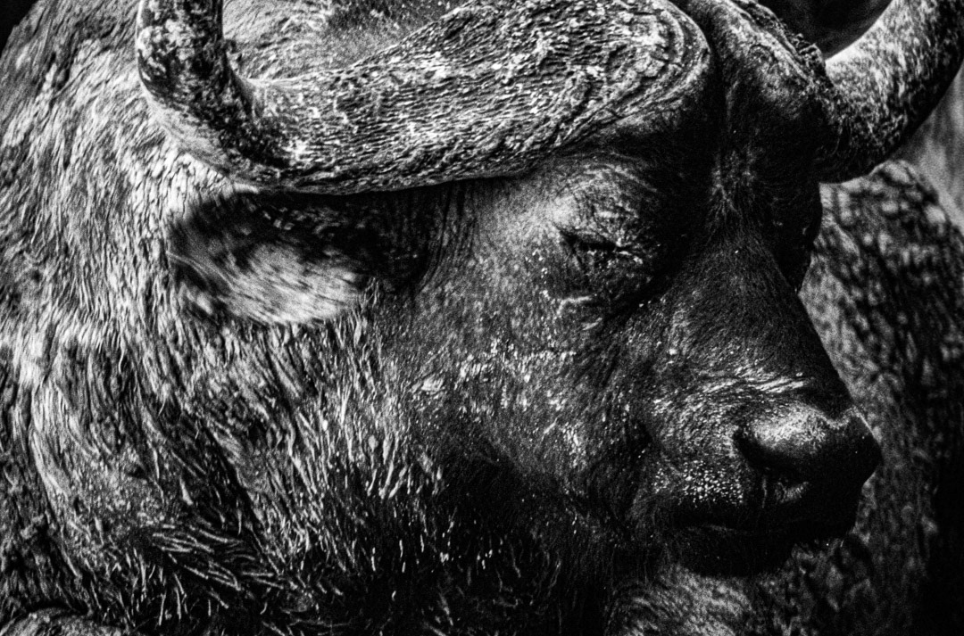 République Démocratique du Congo, © MyPhototek