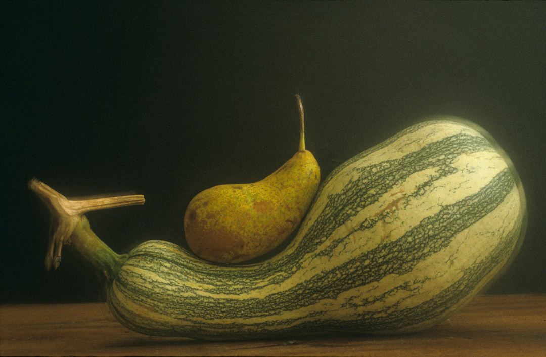 Courge et poire, © MyPhototek