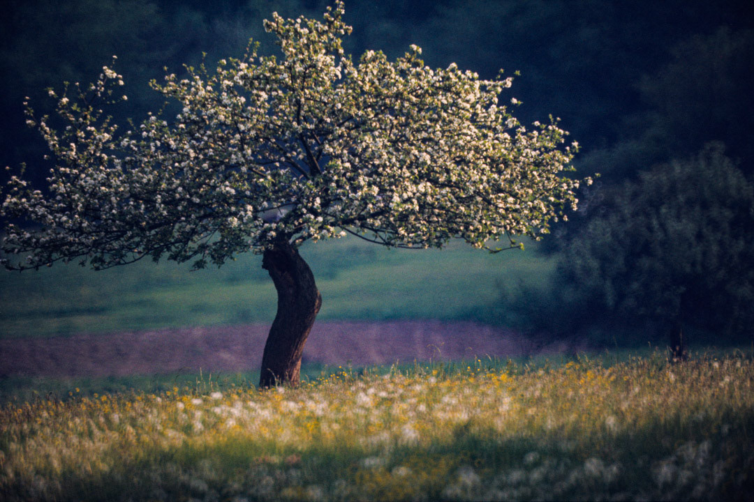 Oise, © MyPhototek