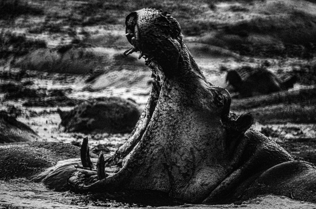 République Démocratique du Congo, © MyPhototek
