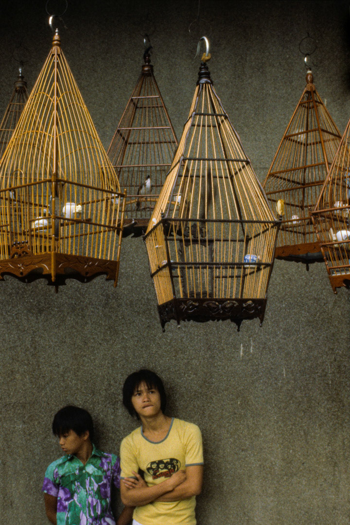 Singapour, © MyPhototek