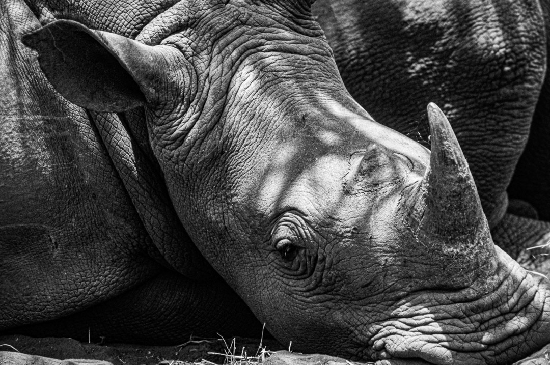 Kenya, © MyPhototek