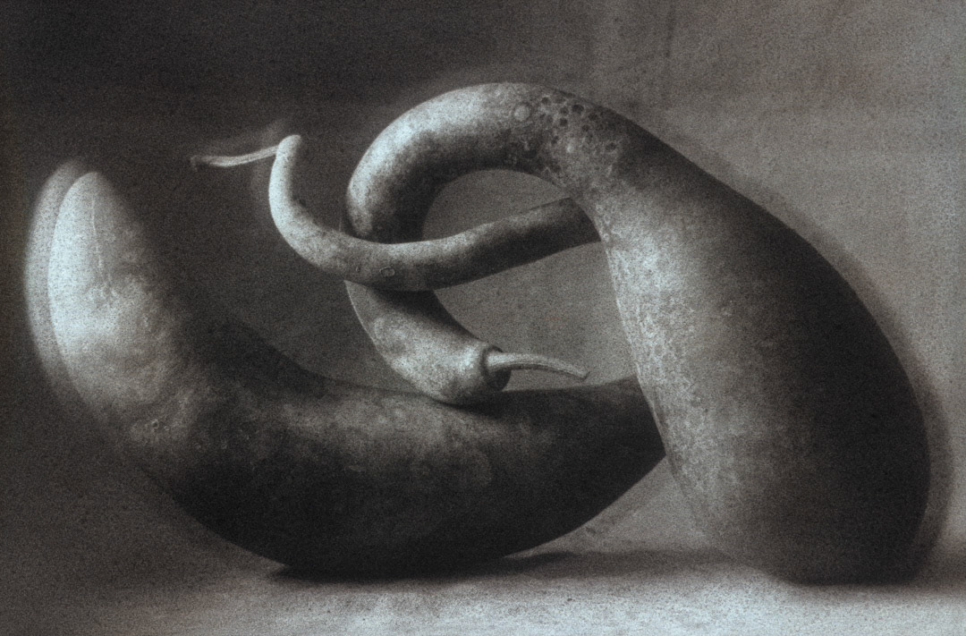 Courges, © MyPhototek