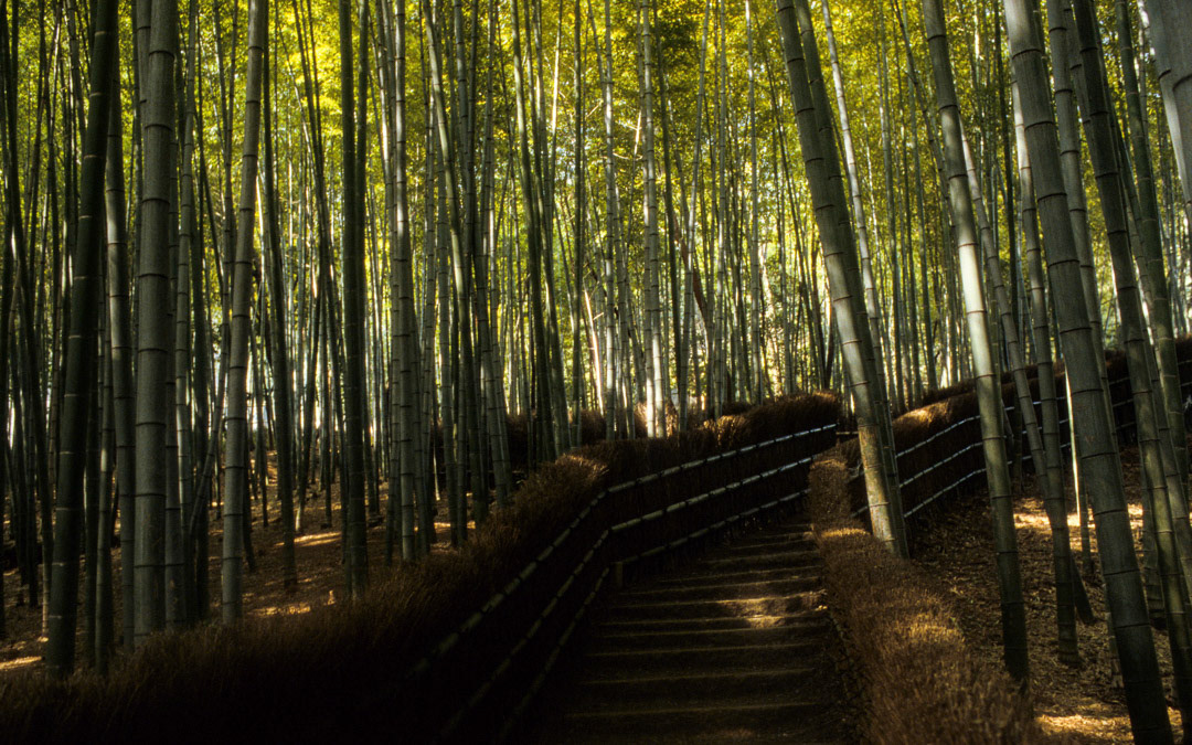 Japon, © MyPhototek