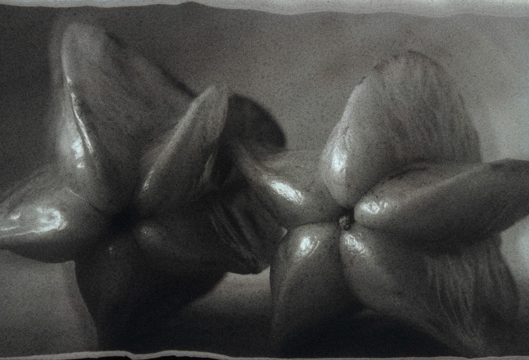 Caramboles, © MyPhototek