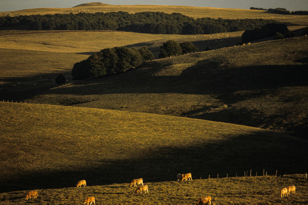 Aubrac, France, © MyPhototek