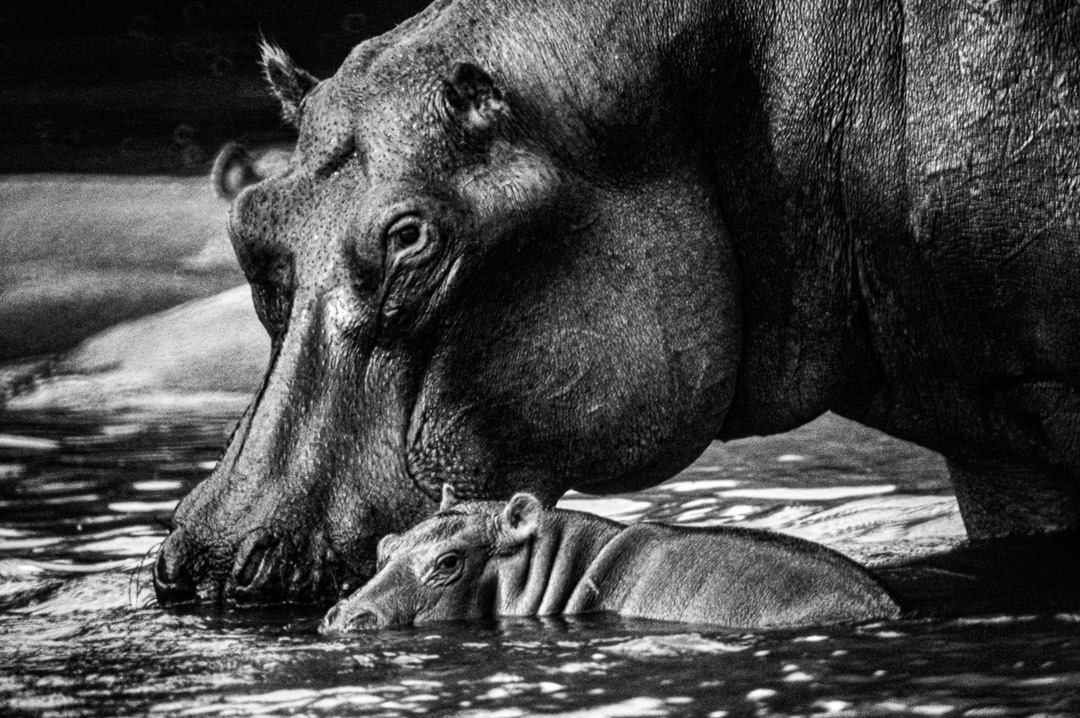 République Démocratique du Congo, © MyPhototek
