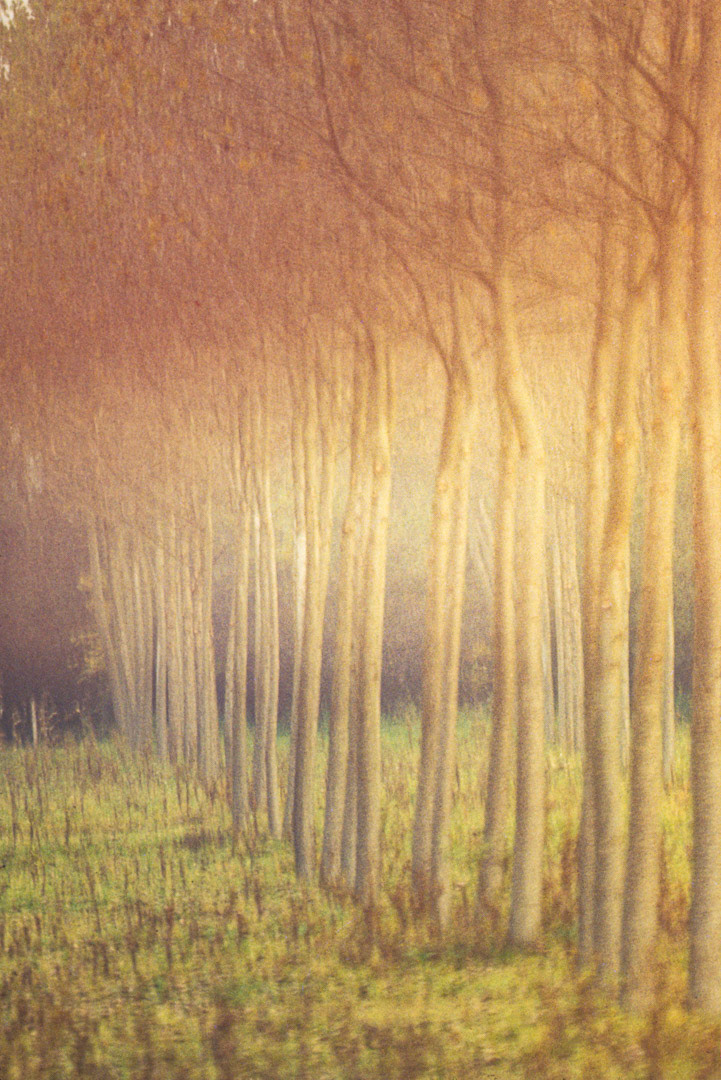 Oise, © MyPhototek