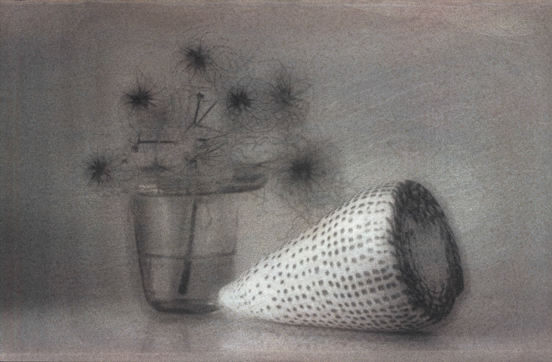 Clématite et coquillage, © MyPhototek