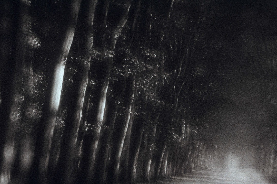 © MyPhototek