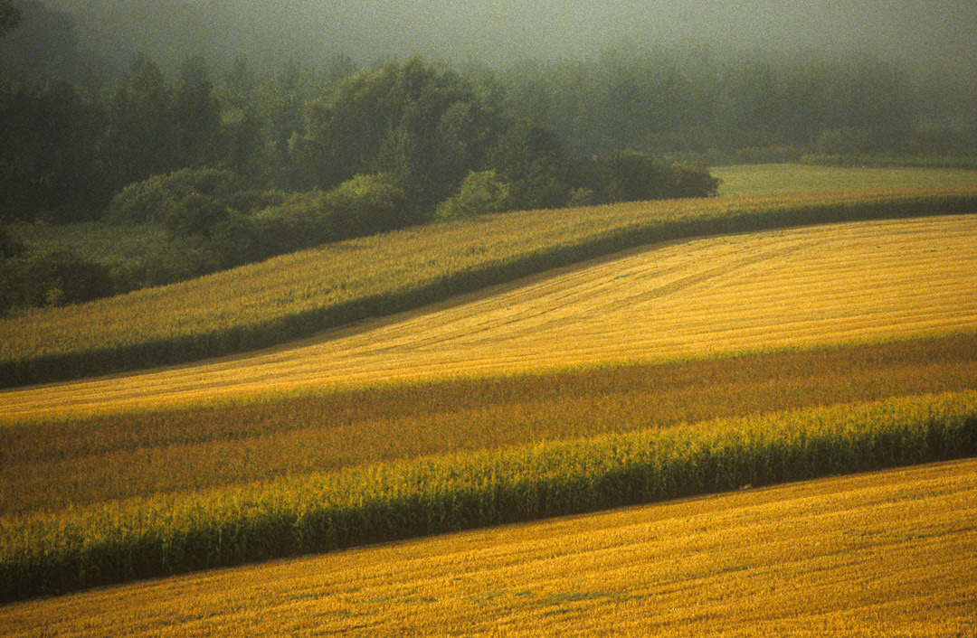 Somme, © MyPhototek