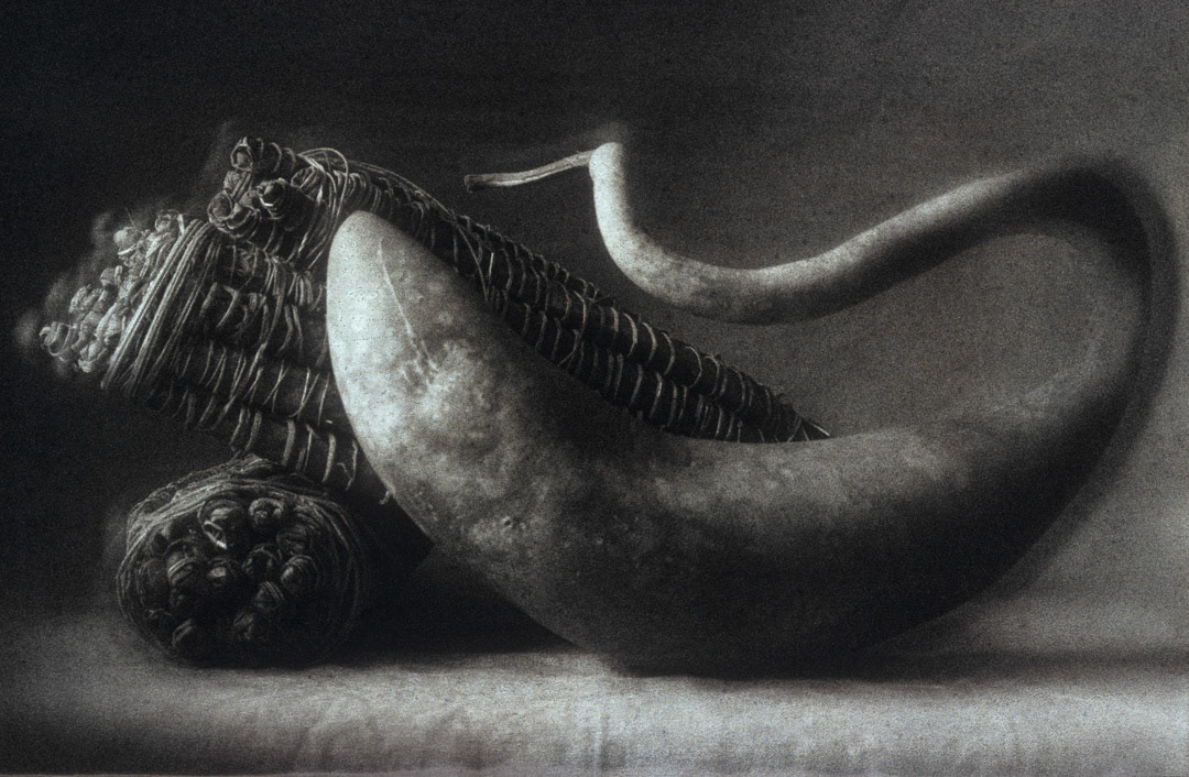 Courge et manioc, © MyPhototek