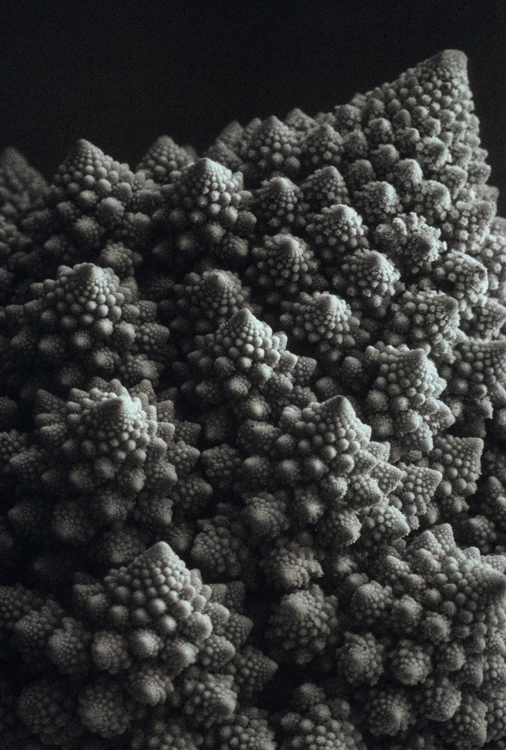 Chou Romanesco, © MyPhototek
