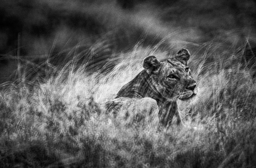 République Démocratique du Congo, © MyPhototek