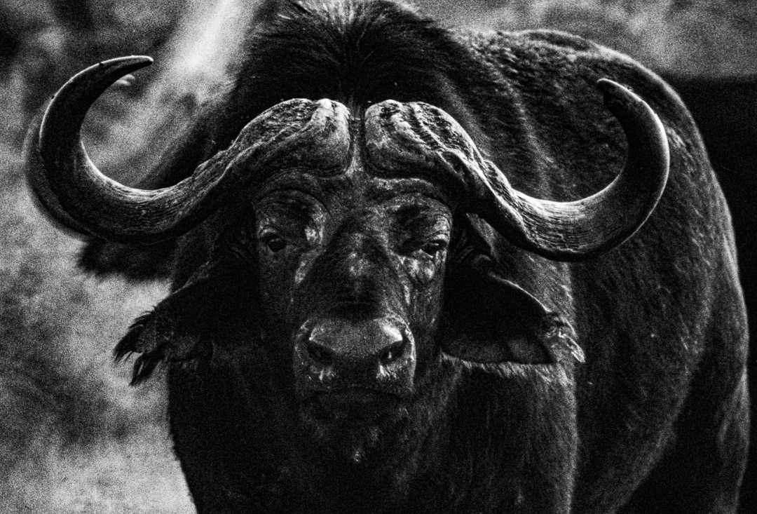 Tanzanie, © MyPhototek
