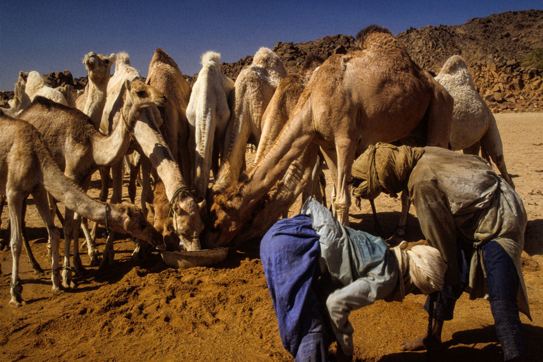 Algérie, © MyPhototek