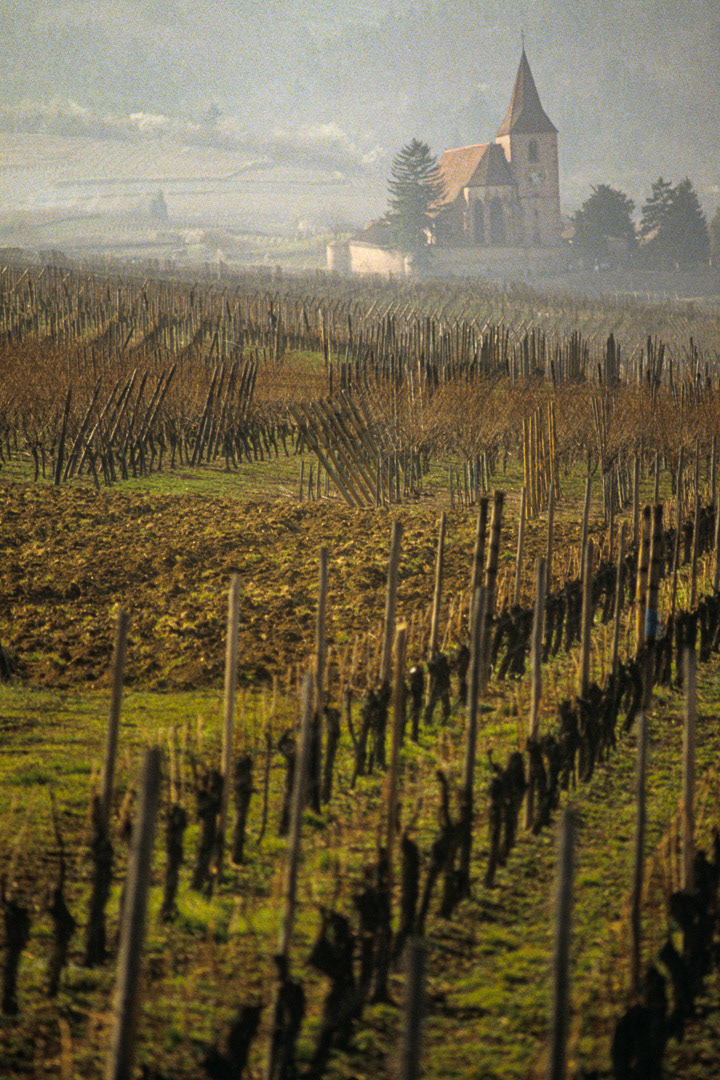 Alsace, France, © MyPhototek