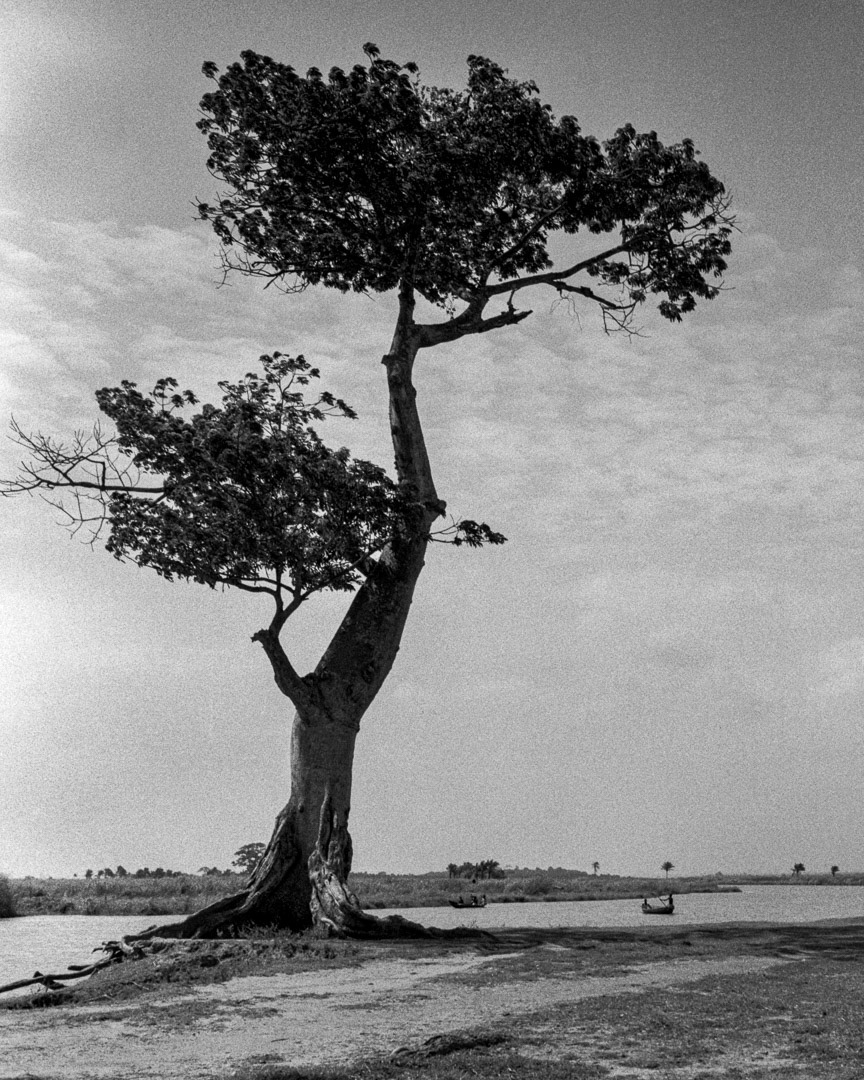 Aguégués, © MyPhototek