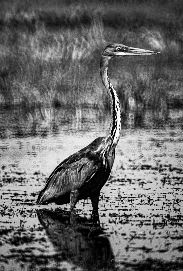 Kenya, © MyPhototek