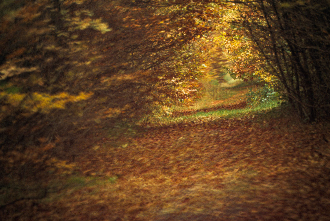 Oise, © MyPhototek