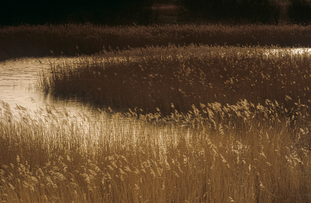 Somme, © MyPhototek