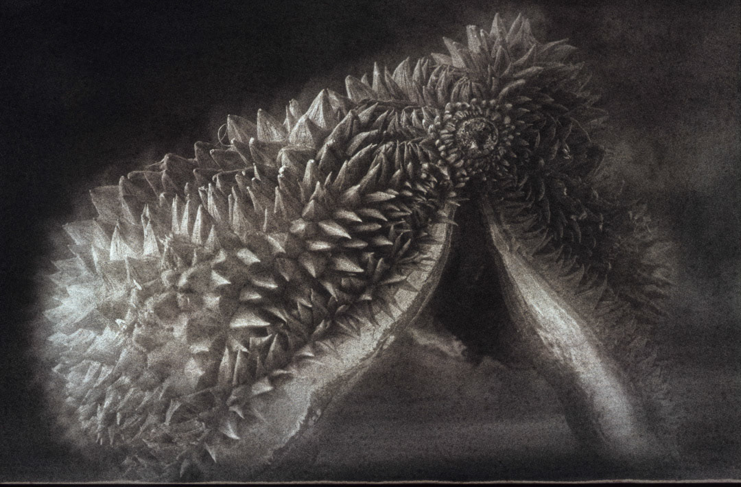 Durian, © MyPhototek