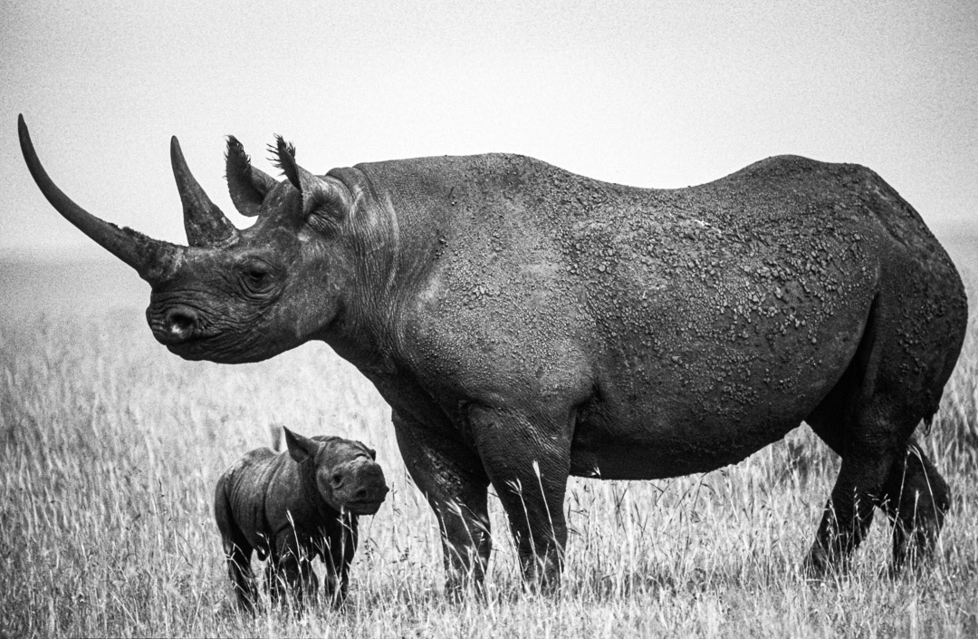 Kenya, © MyPhototek