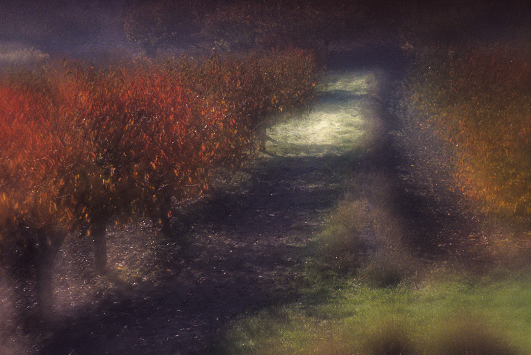 © MyPhototek