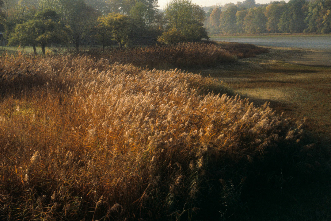 Yonne, France, © MyPhototek