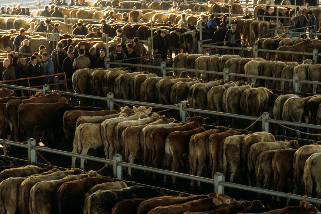 Aveyron, France, © MyPhototek