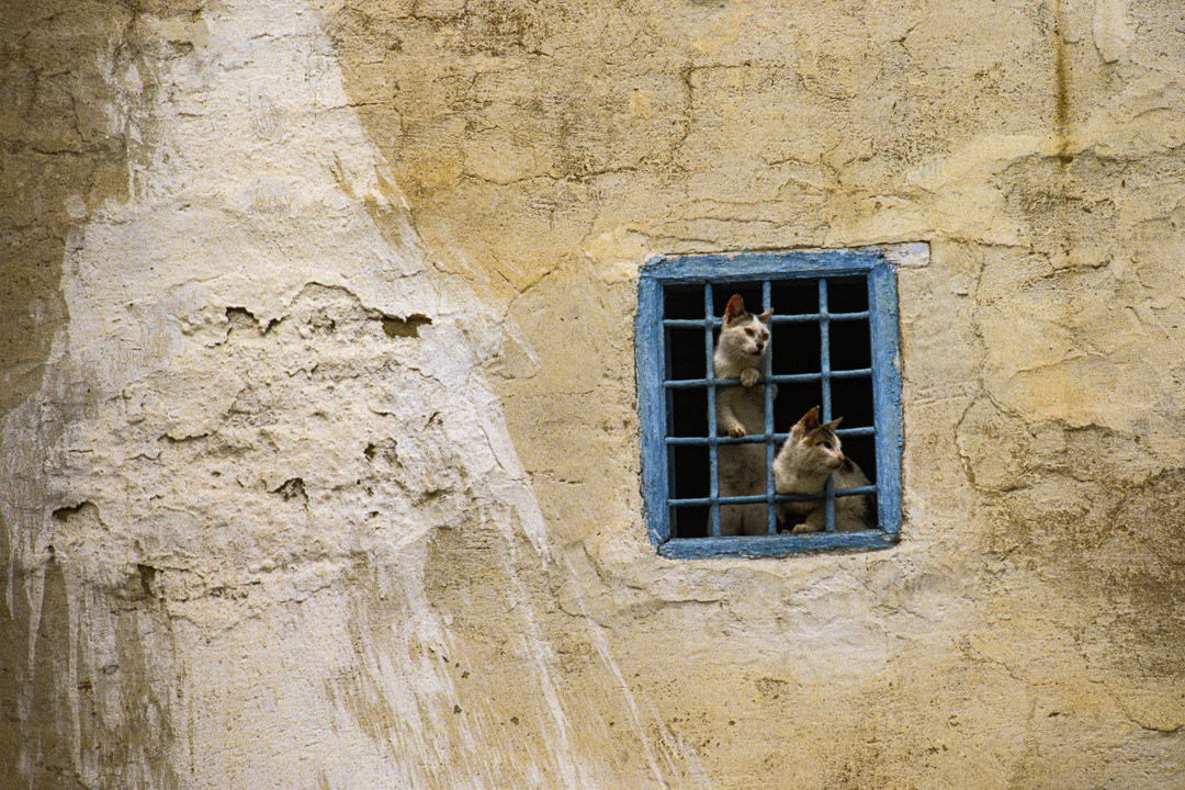 Tunisie, © MyPhototek