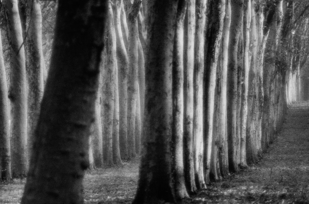 Versailles, © MyPhototek