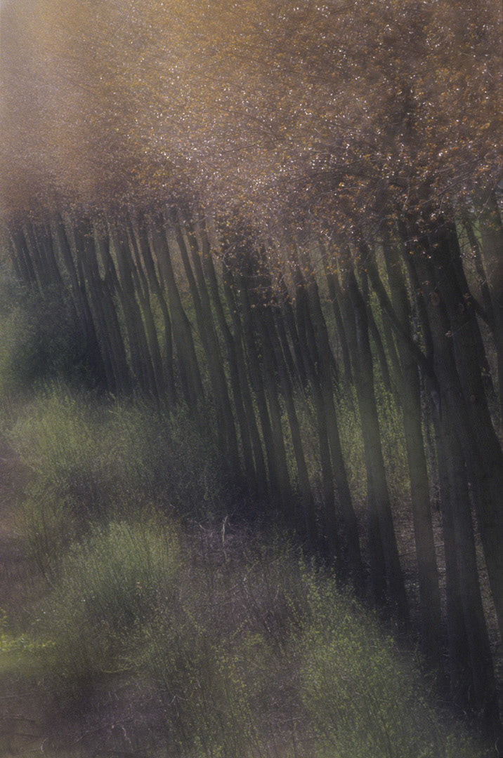 Oise, © MyPhototek