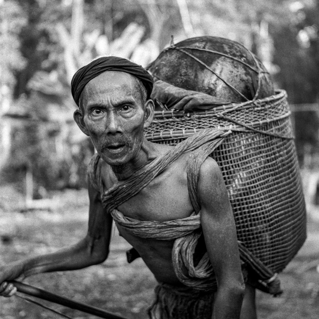 Kubu, © MyPhototek