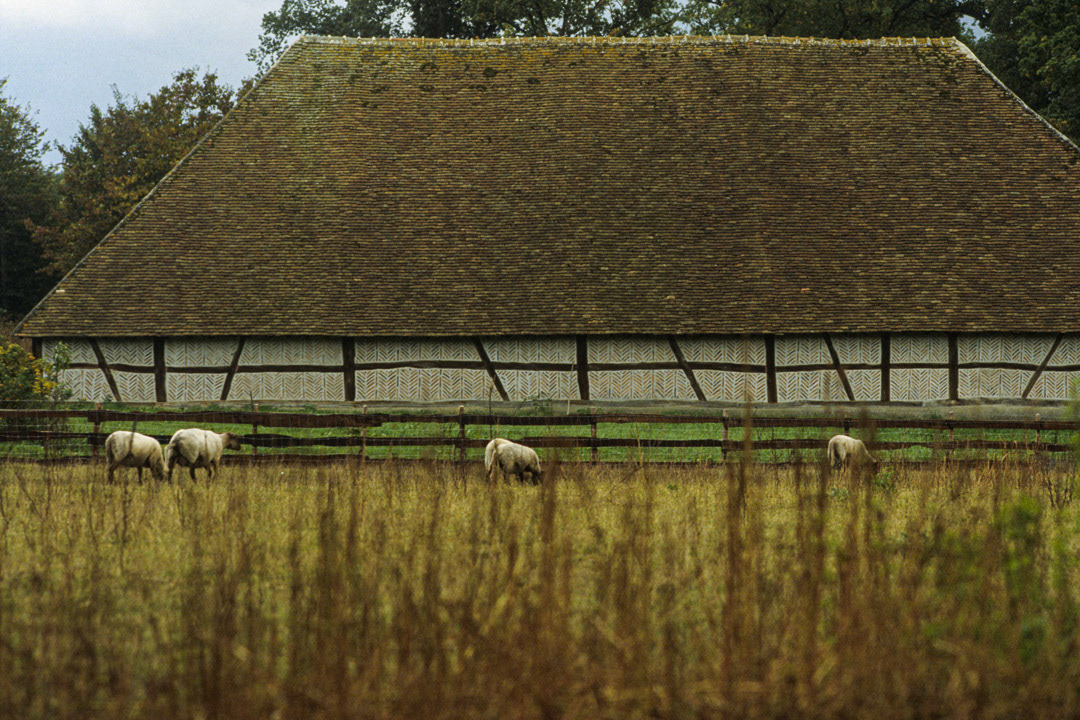 Sologne, France, © MyPhototek
