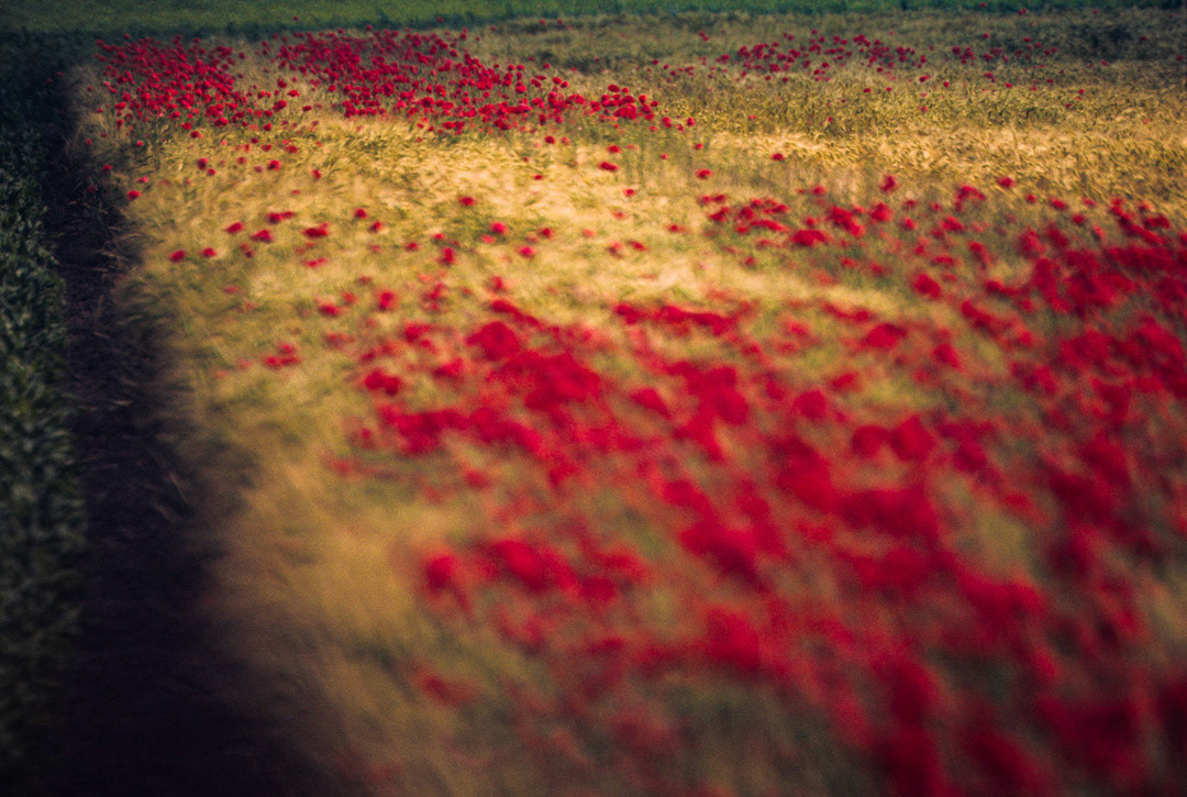 Oise, © MyPhototek