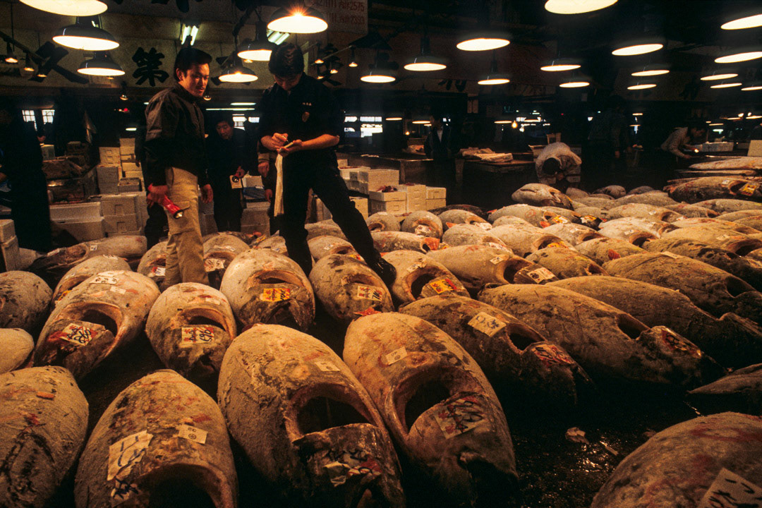 Japon, © MyPhototek