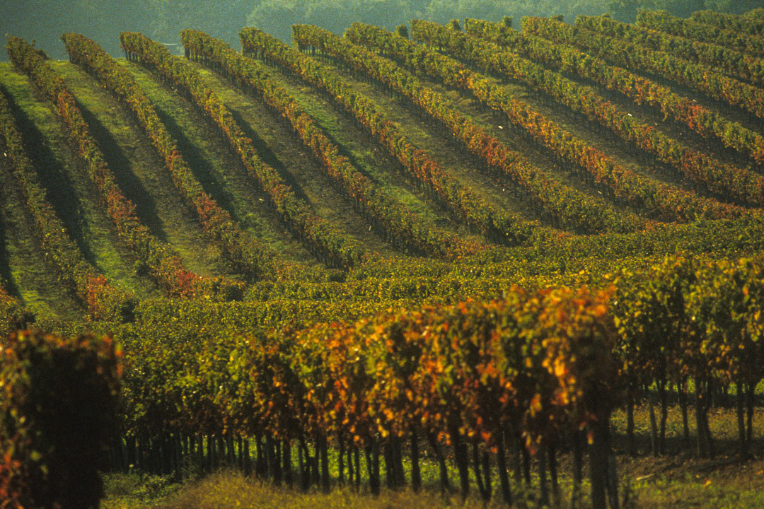 Gironde, France, © MyPhototek
