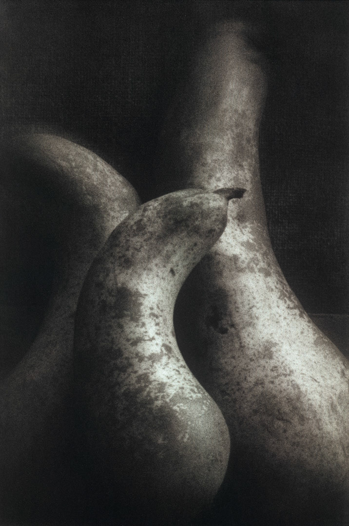 Poires, © MyPhototek