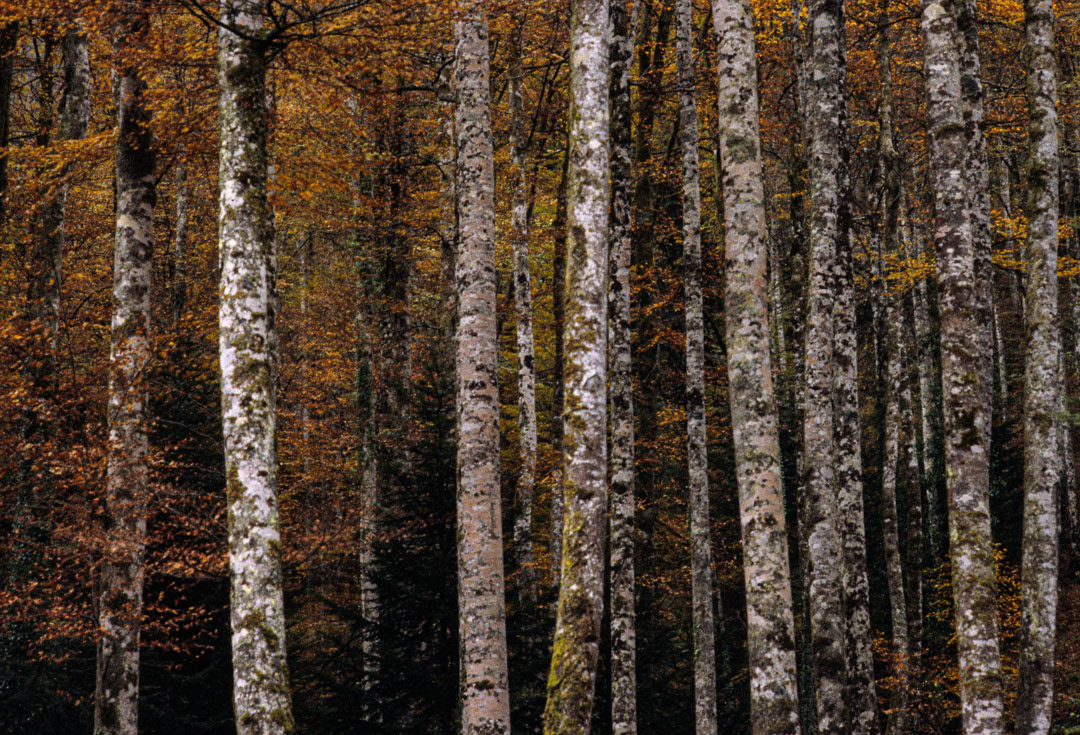 Occitanie, © MyPhototek