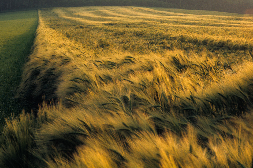 Oise, © MyPhototek