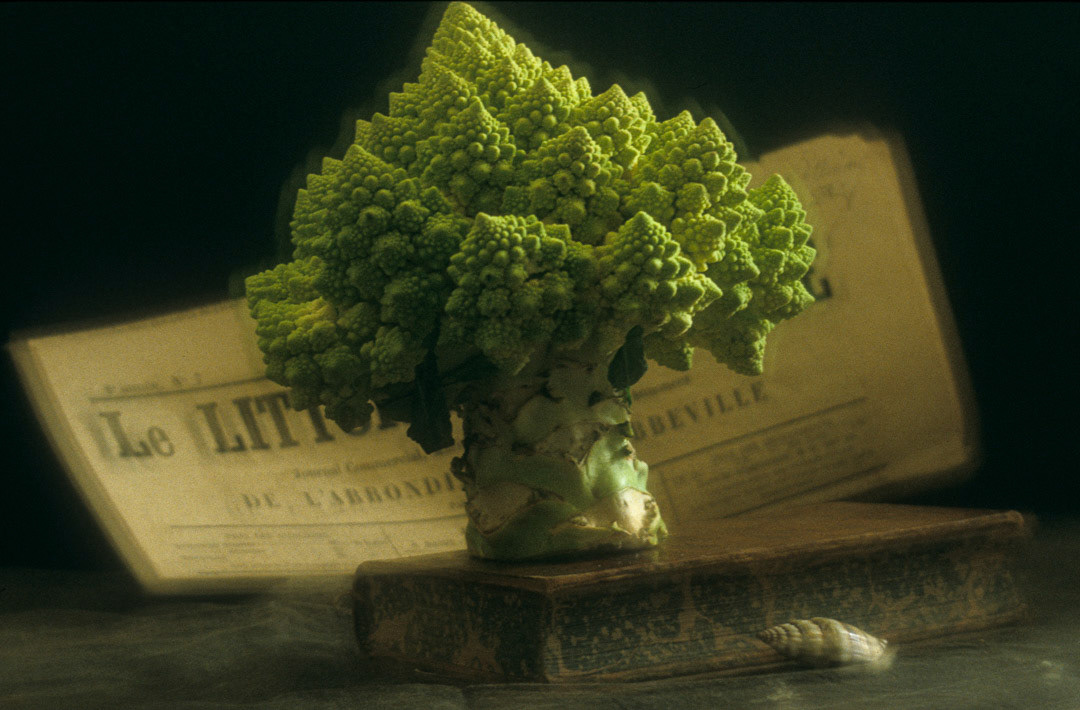 Chou Romanesco, © MyPhototek