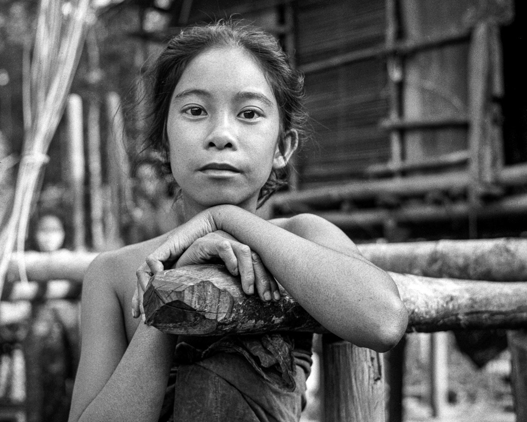 Kubu, © MyPhototek