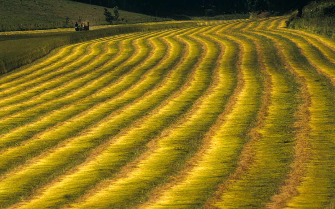 Seine-Maritime, France, © MyPhototek