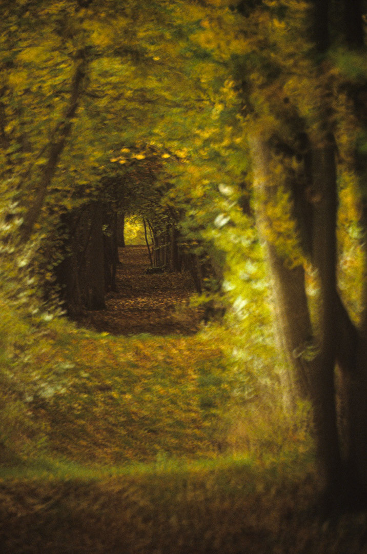 Sologne, © MyPhototek