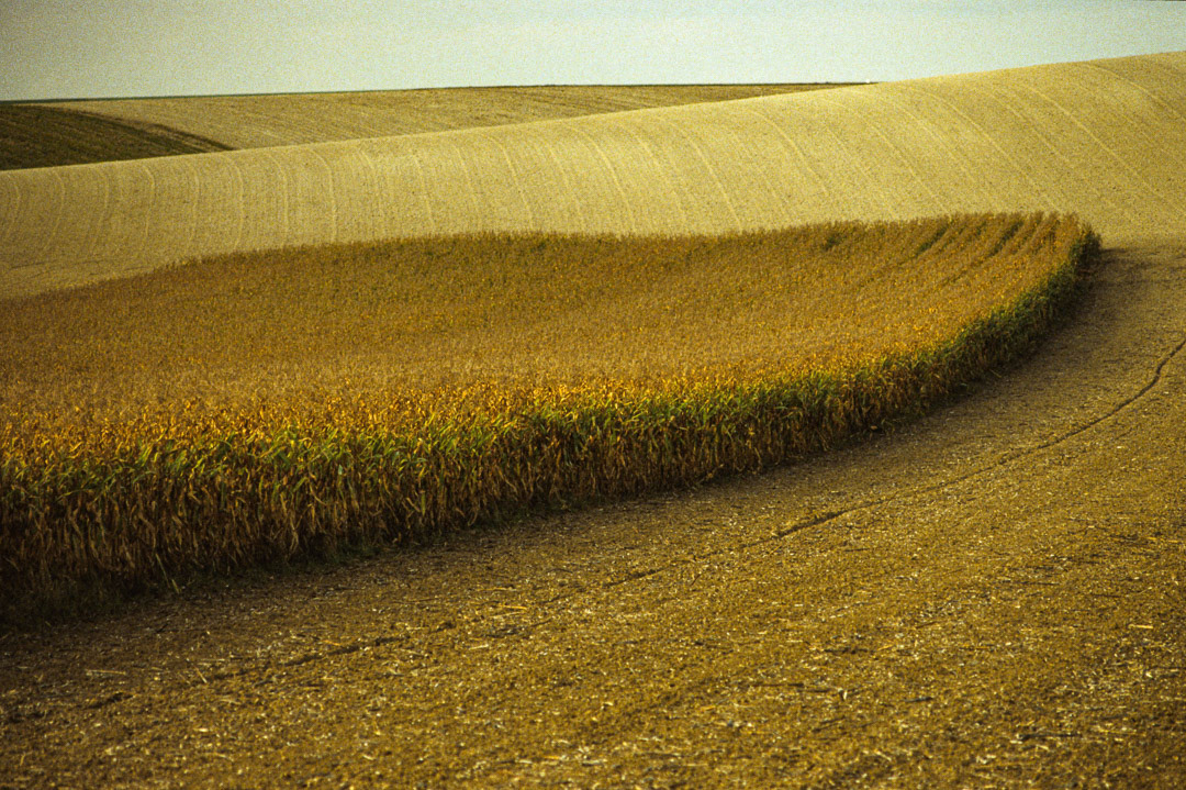 Province de Champagne, © MyPhototek